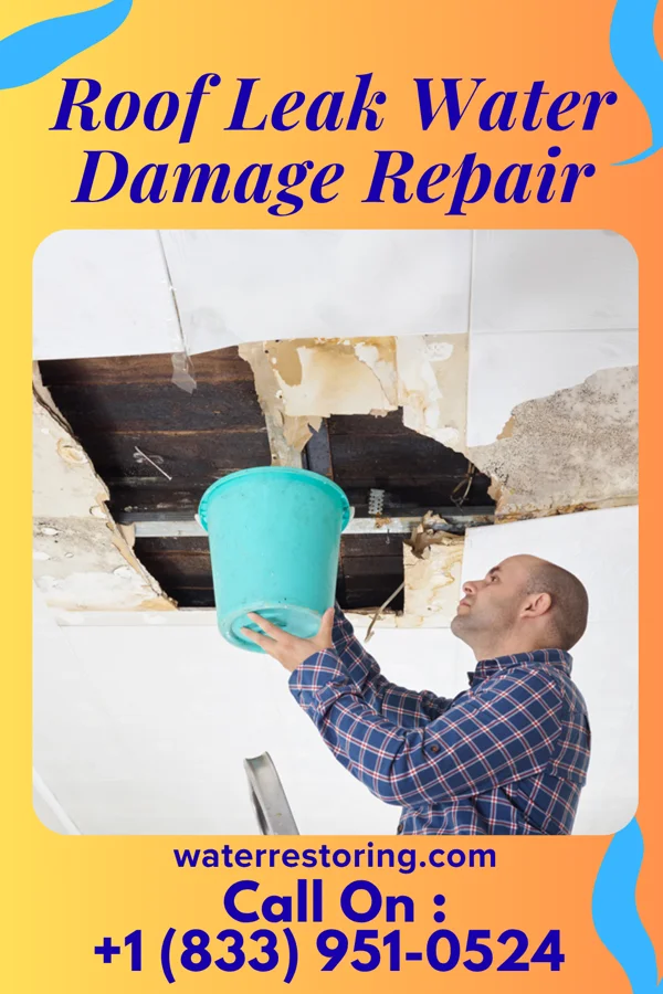Roof Leak Water Damage Repair in Clermont, IA